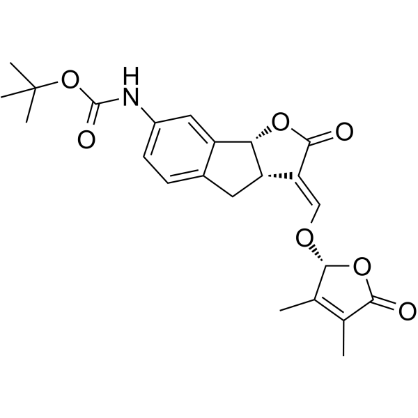 Autophagy-IN-1